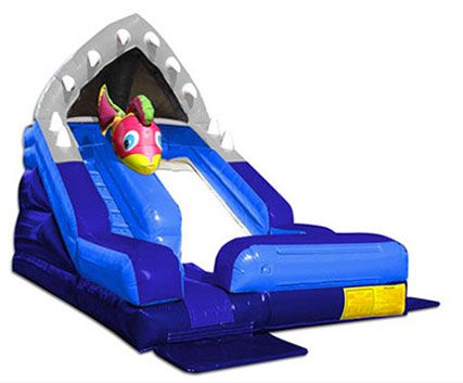 Shark escape stock