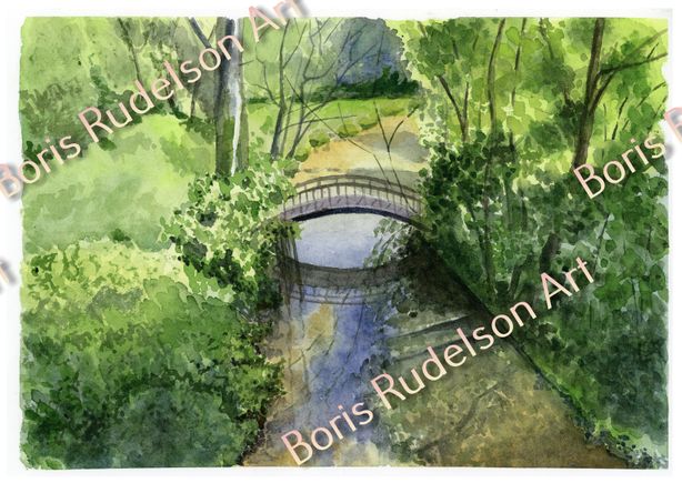 Sunny Brook. Watercolor