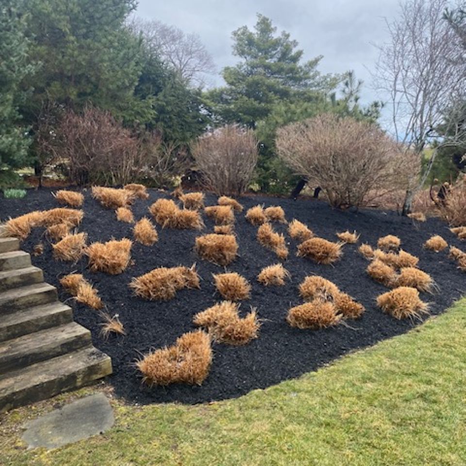 Sullivan mulch hill steps