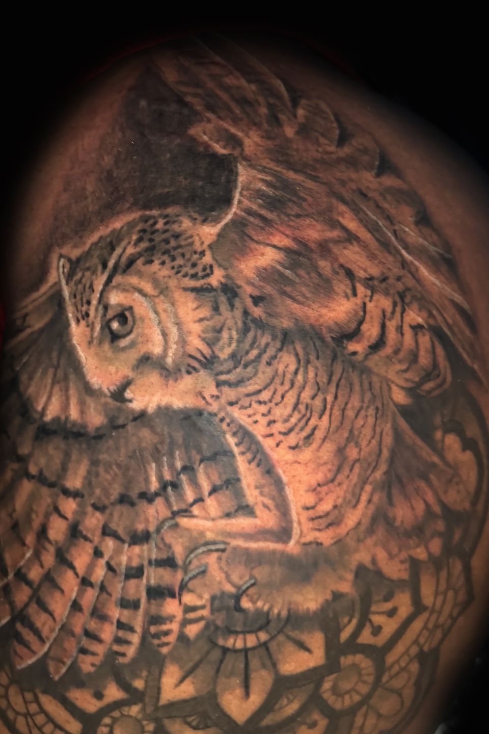 Nick owl