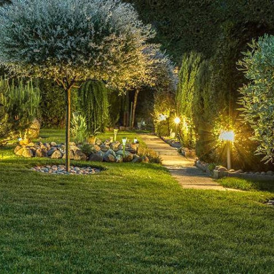 Landscape lighting and irrigation backyard lighting
