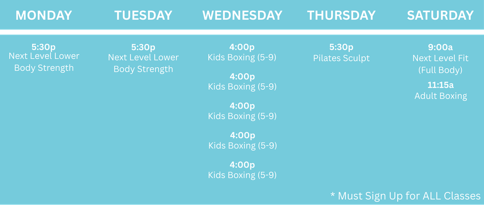 Next level training website (2)