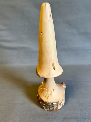Mushroom long