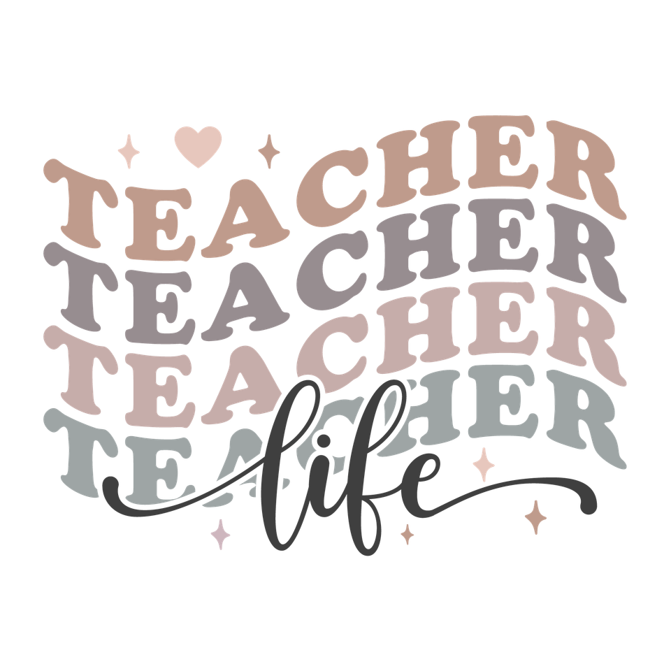 School   teacher life