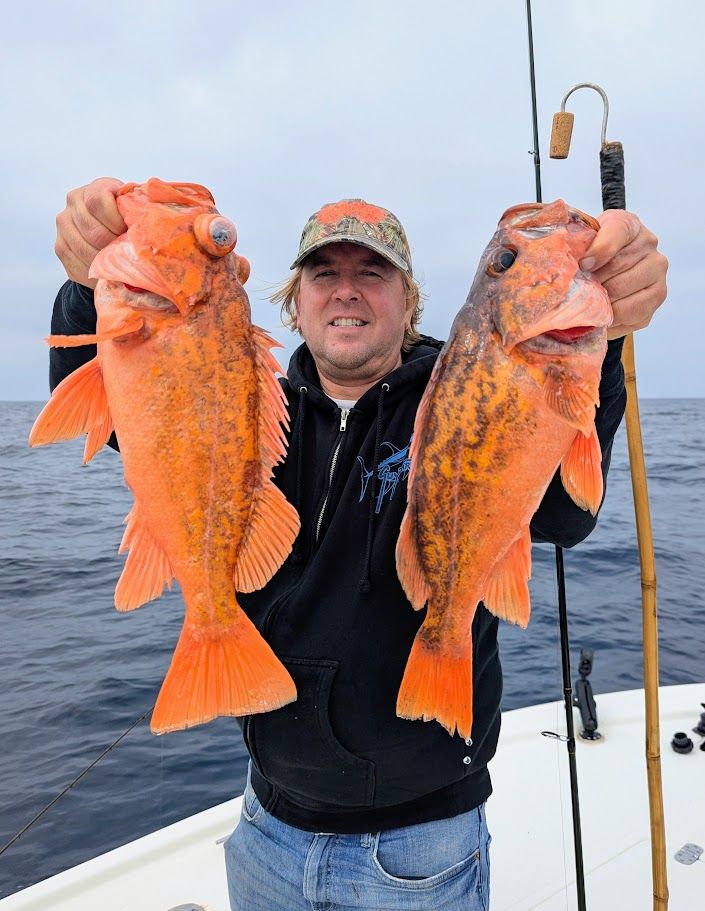 Pxl 20251214 194251341 2