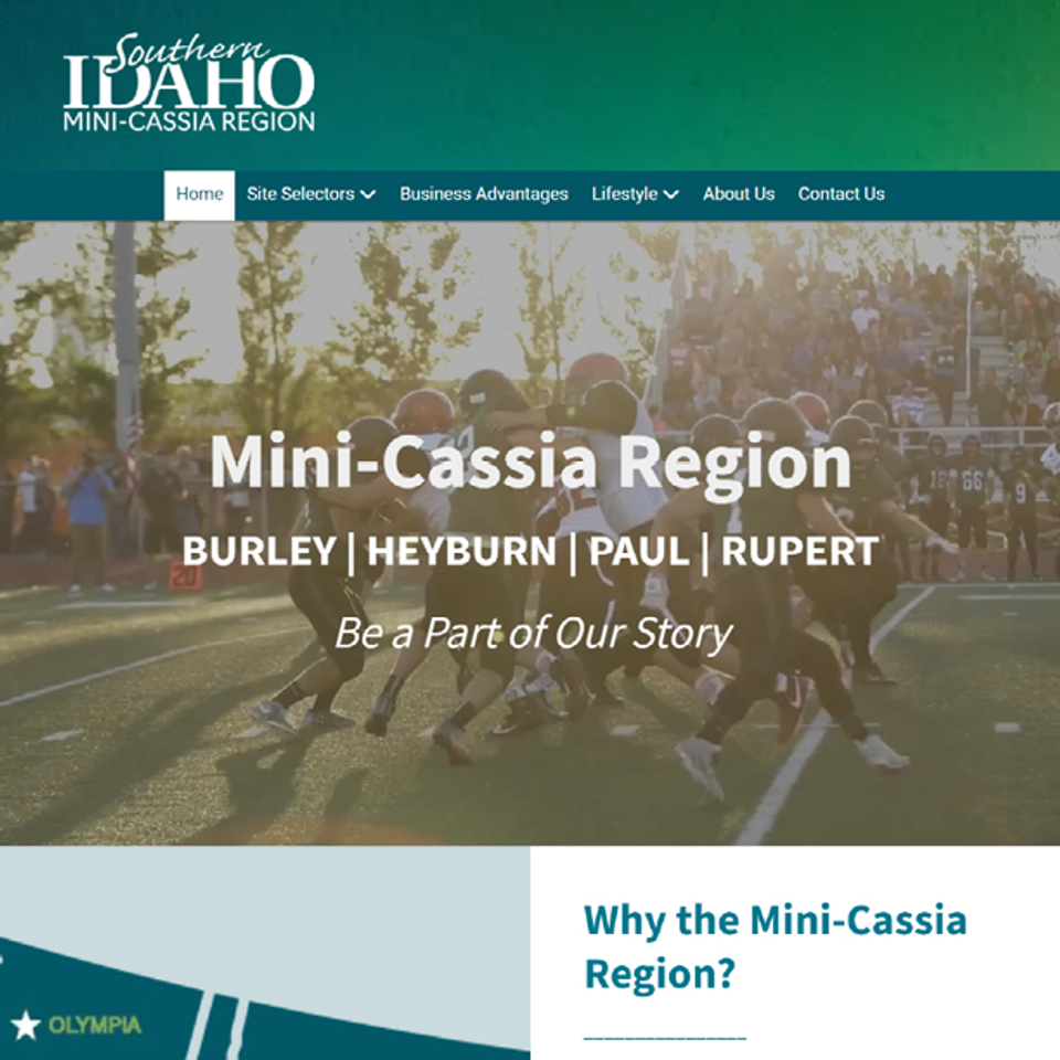 Mini cassia square for our website