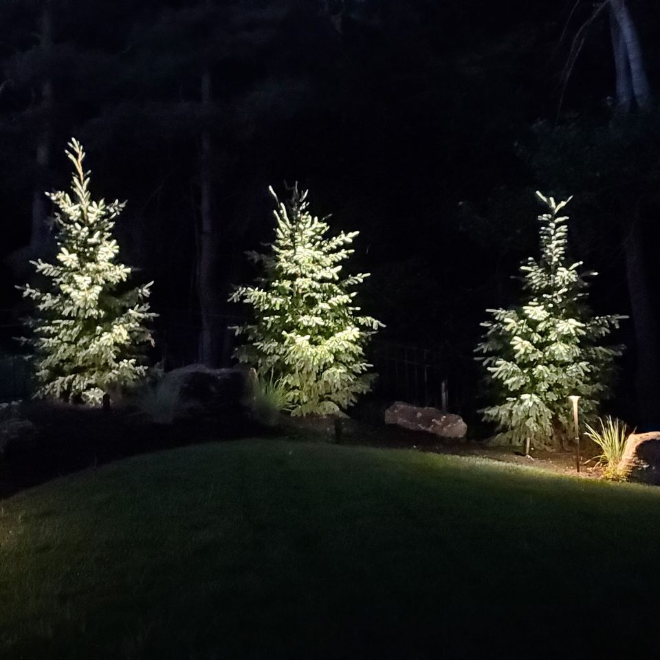 Beautifuly lit backyard in meridian id