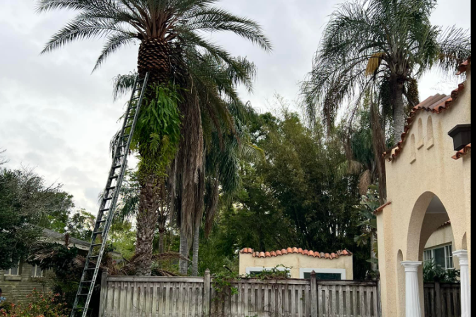 Screenshot 2025 10 20 082025