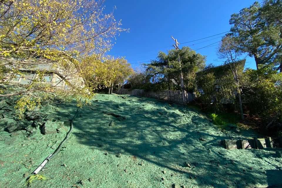 Img 9302