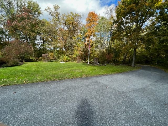 Img 3339