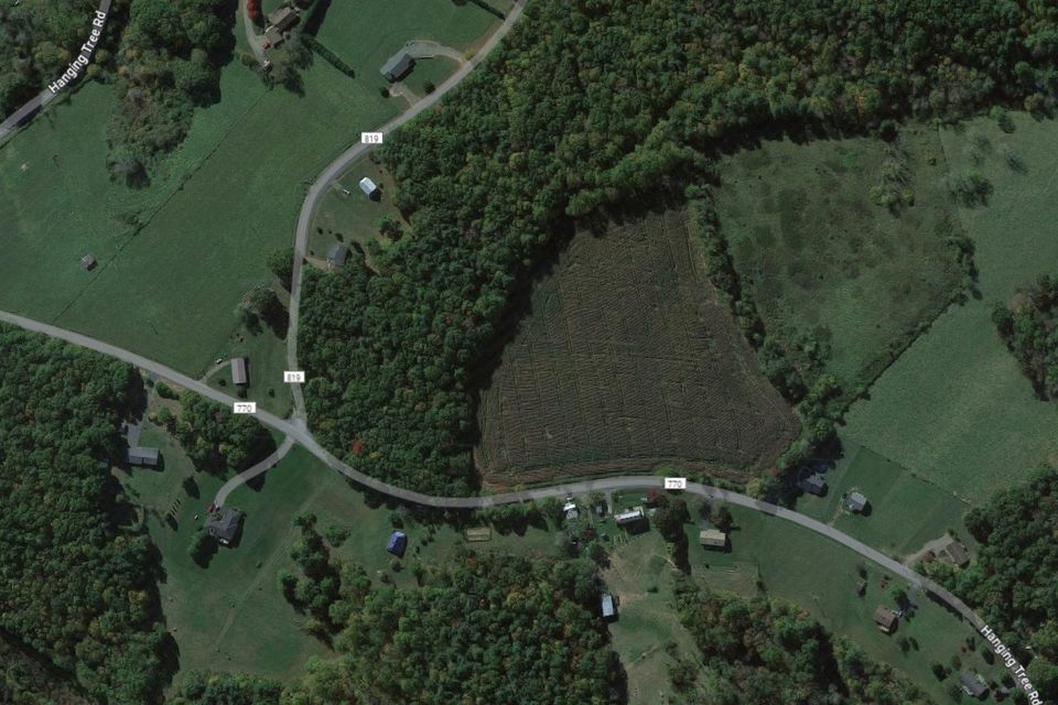 Camp and grow hanging tree aerial more view