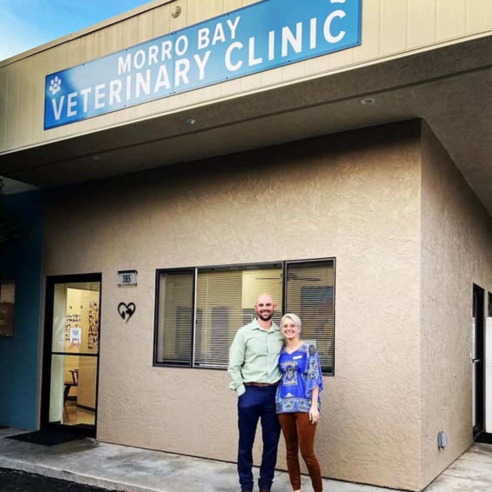 Morro bay vet