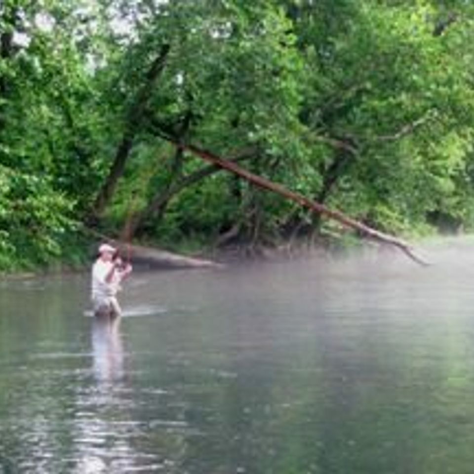 Fishon