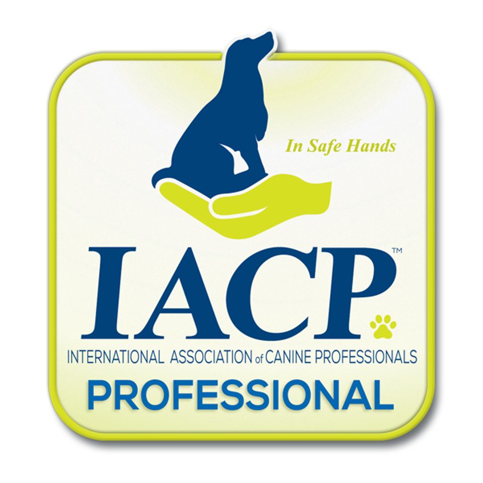 Iacp professional logo