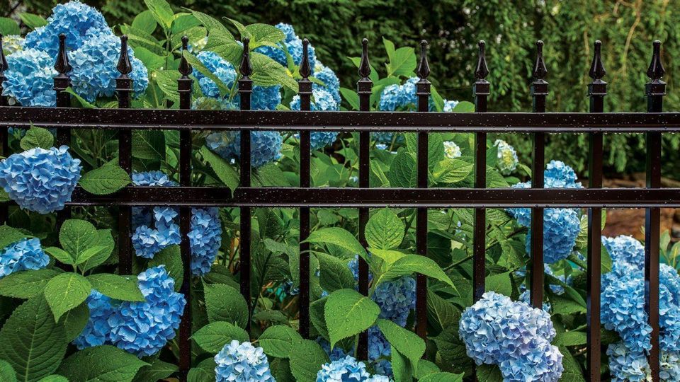 Decorative Aluminum Fencing in Twin Falls Idaho