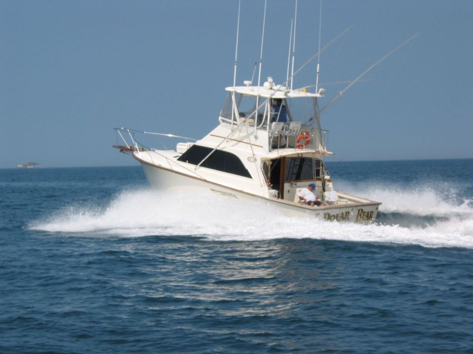 Polarbear charter heading out ocean