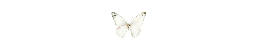 Untitled (833 x 166 px) (11)
