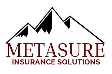 Metasure Insurance Solutions