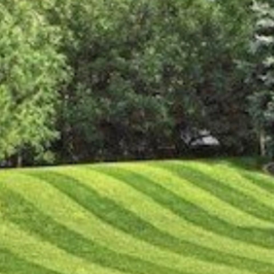 Media 1590627157961 may 27 2020 8 52 pm