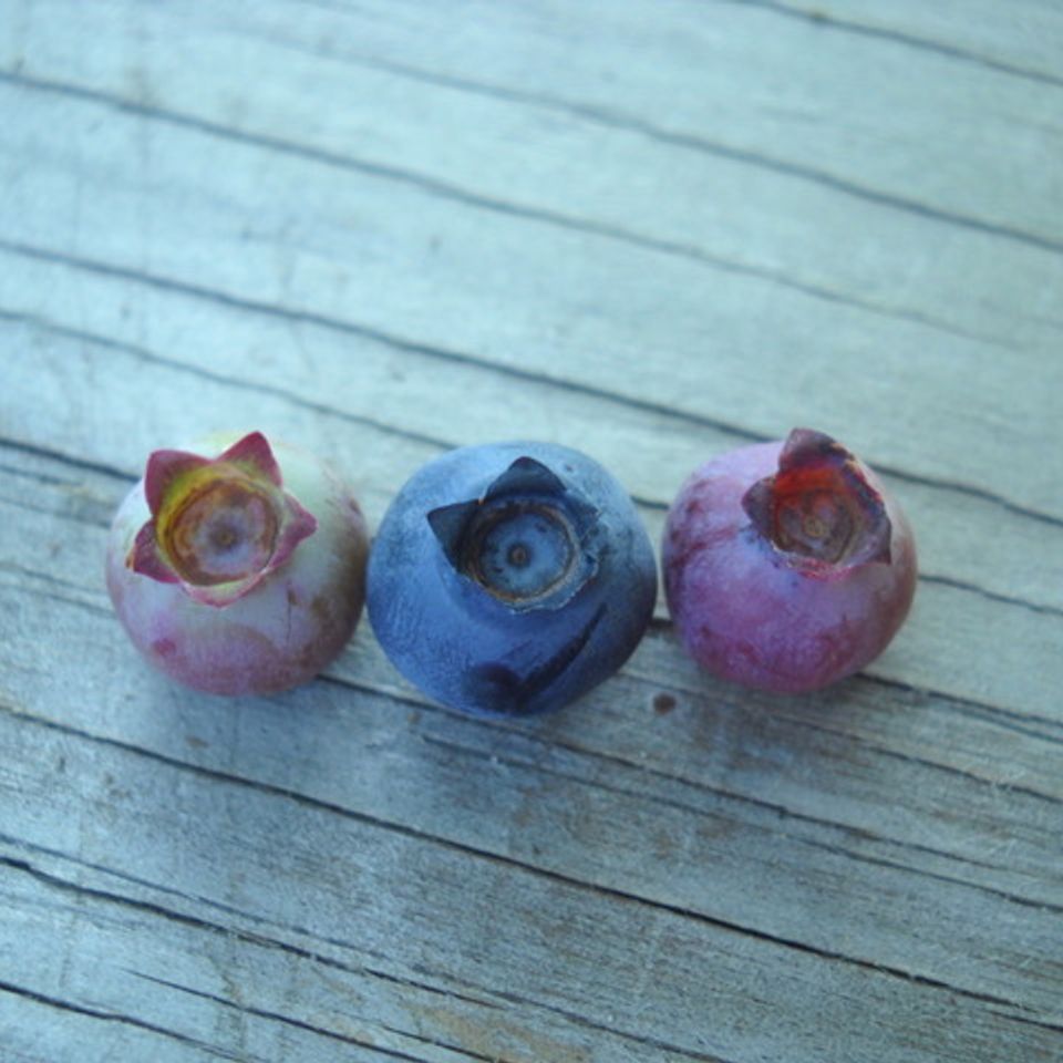Blueberries