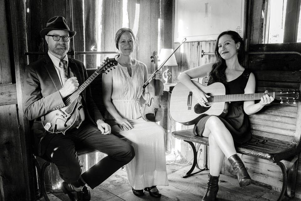 Low lily winter solstice