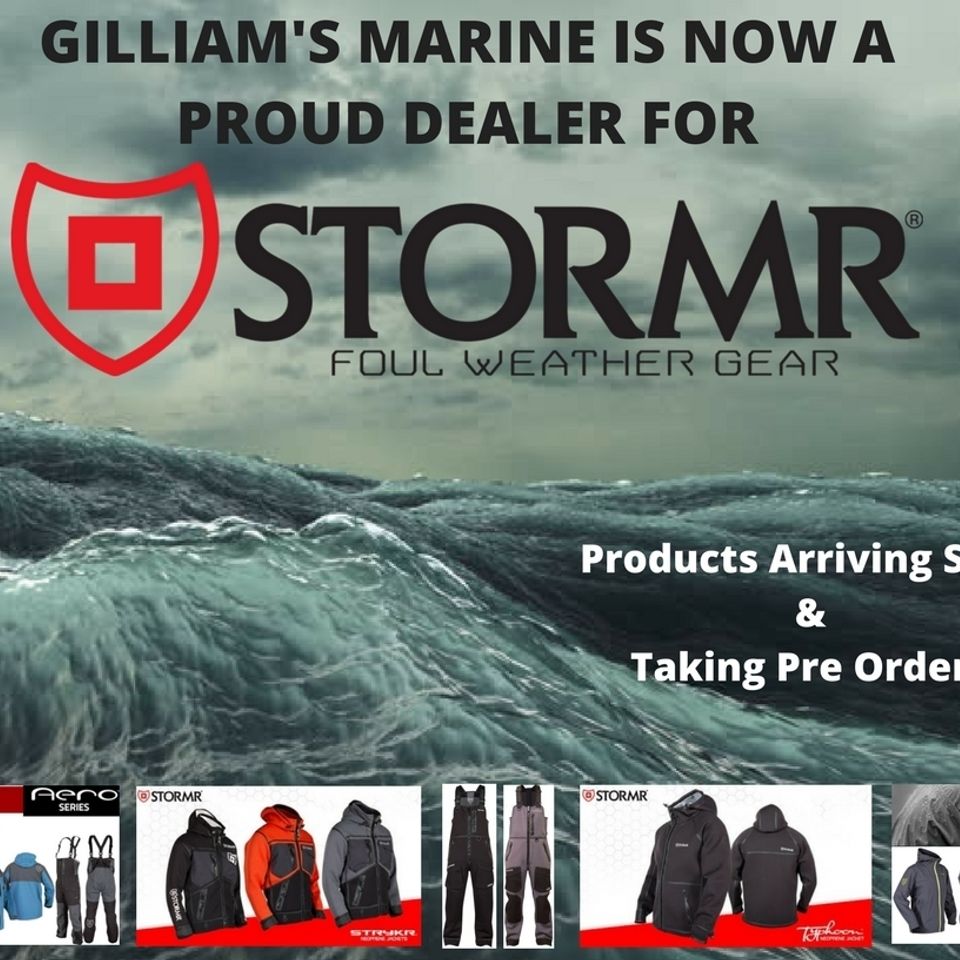 Stormr banner