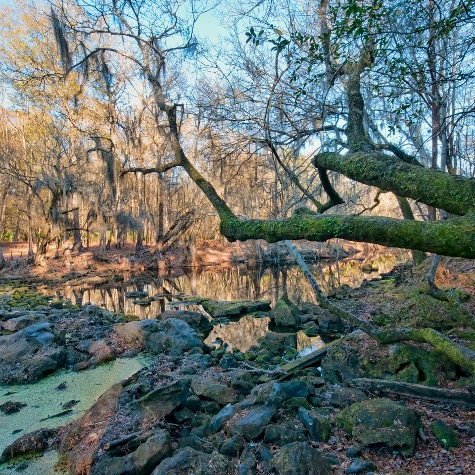 Rc autumn creek 