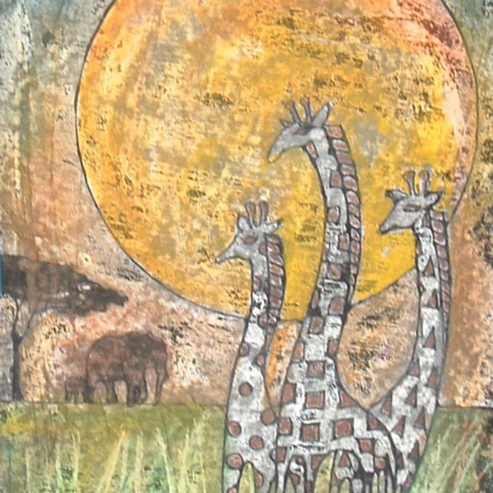 Giraffes