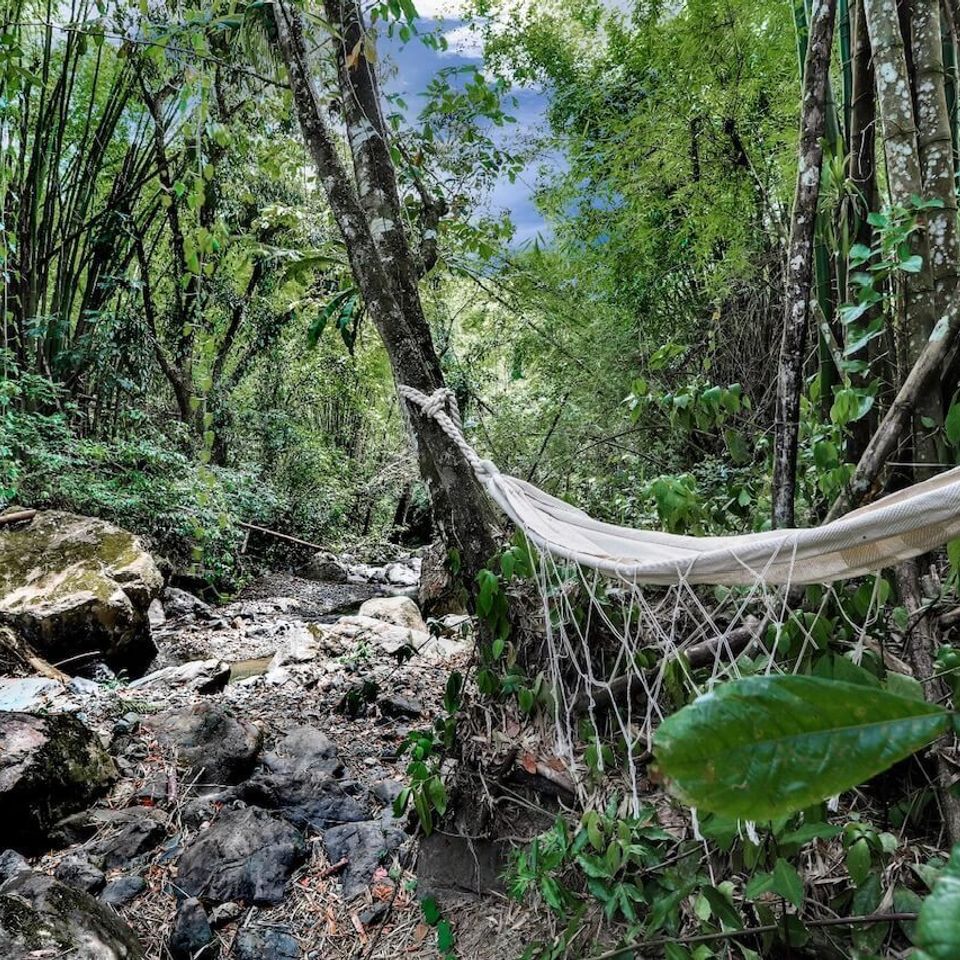 Finca maricao muniz and muniz realty rincon pr (8)
