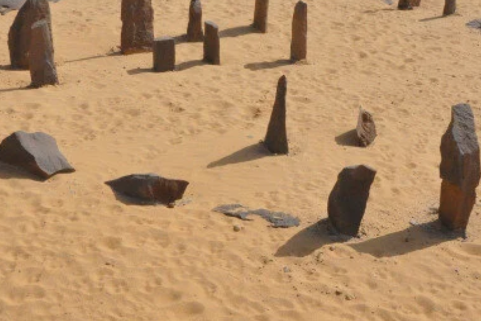 Screenshot 2025 11 14 101345