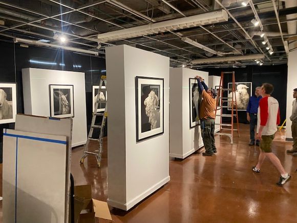 Linncinnati gallery setup photo2