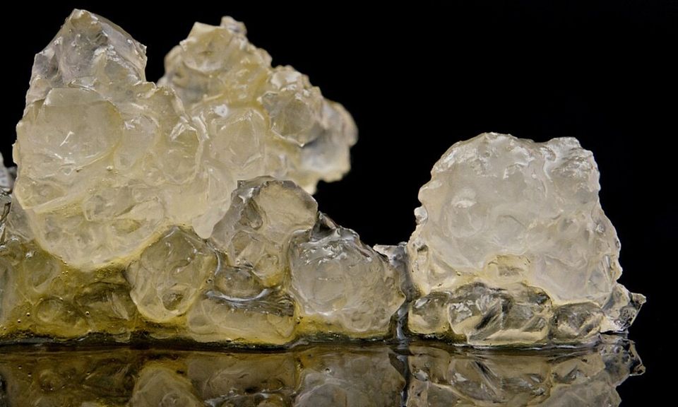 Cannabis concentrates in terp sauce featured 1