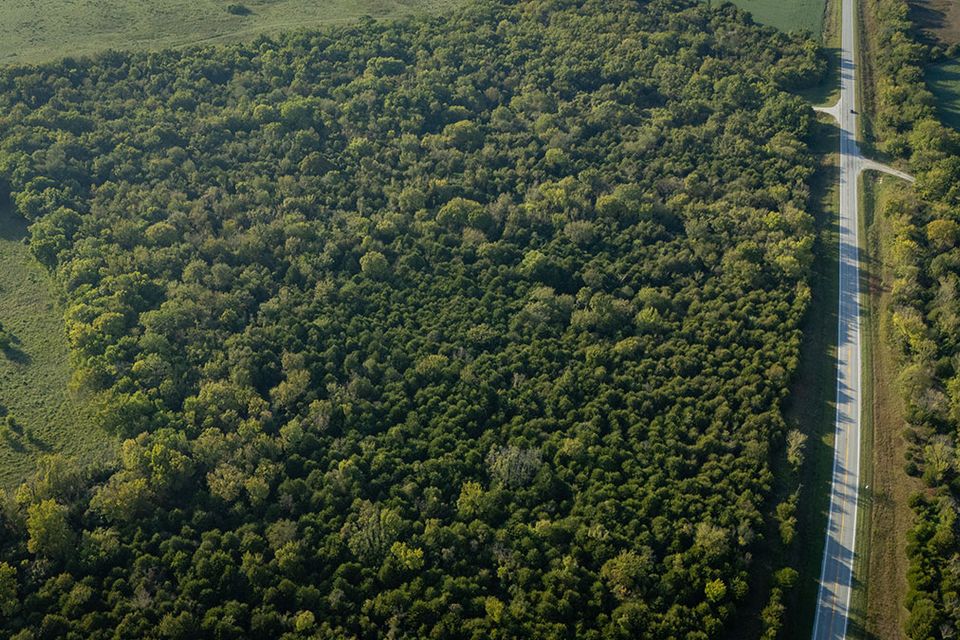 38 acres wentworth missouri 26