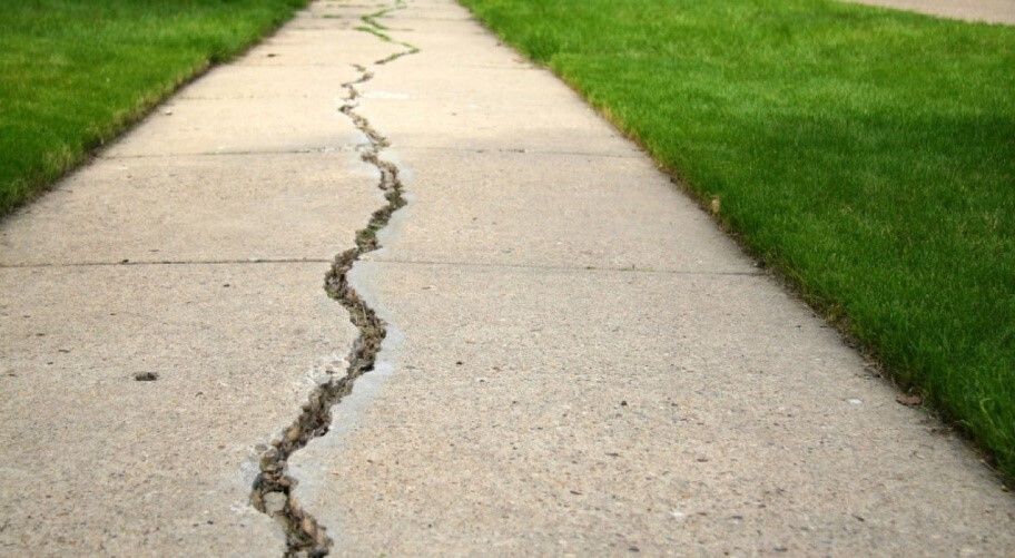 Cracked sidewalk