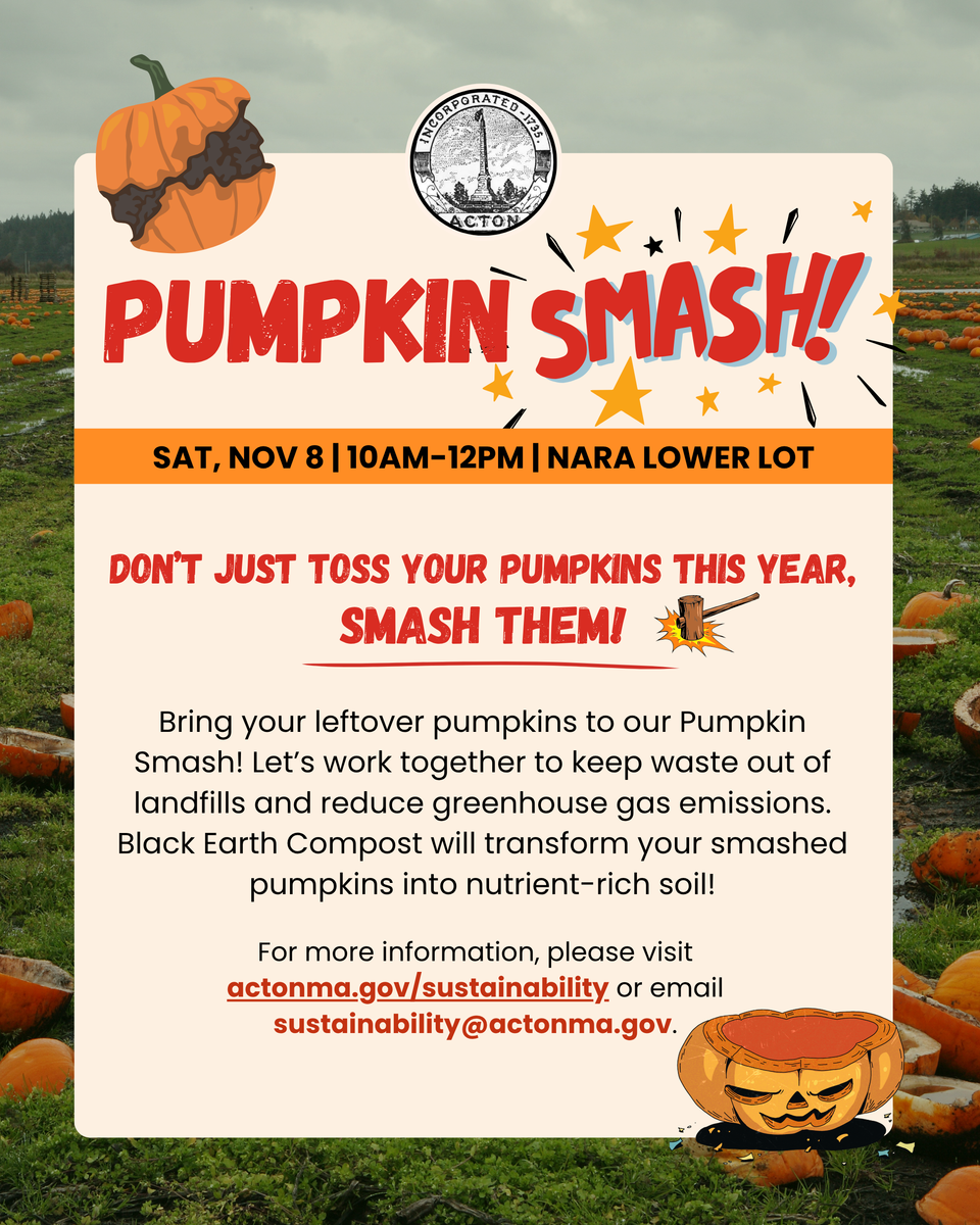Pumpkin smash