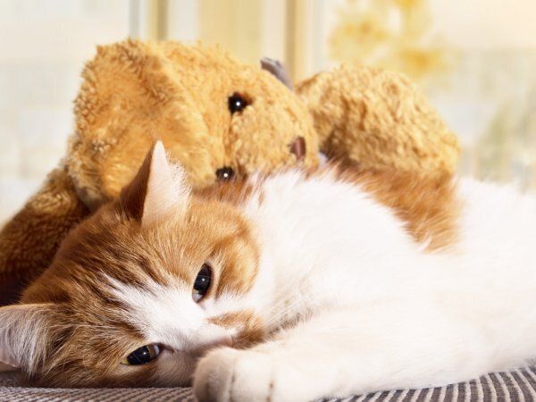 Trauma and PTSD Therapy and Counseling in Boise