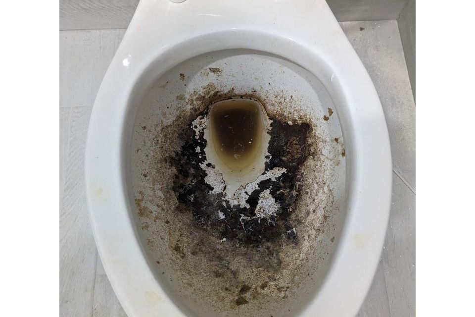 Toilet before