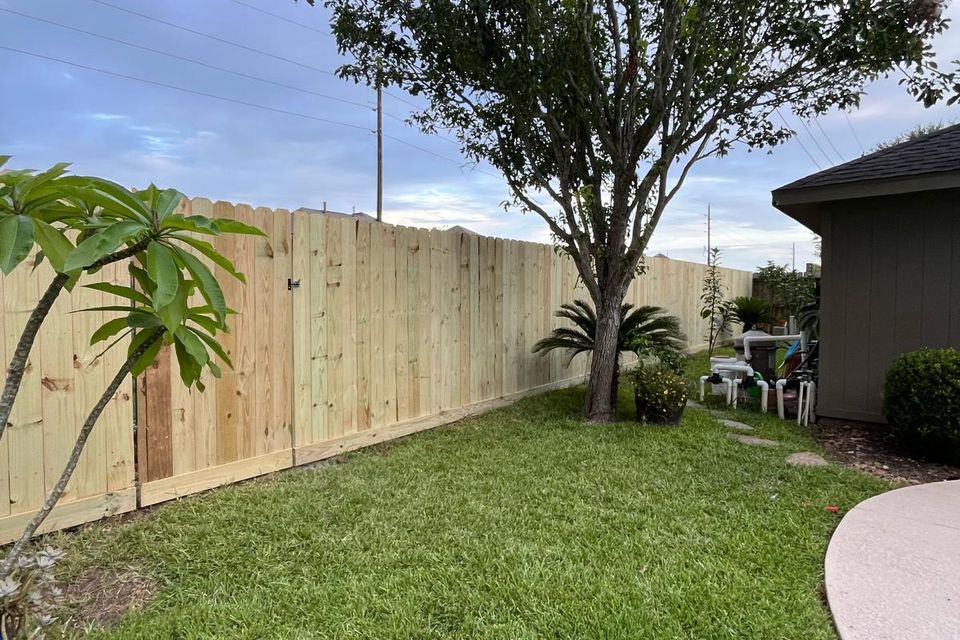 Whatsapp image 2026 01 11 at 1.40.08 pm