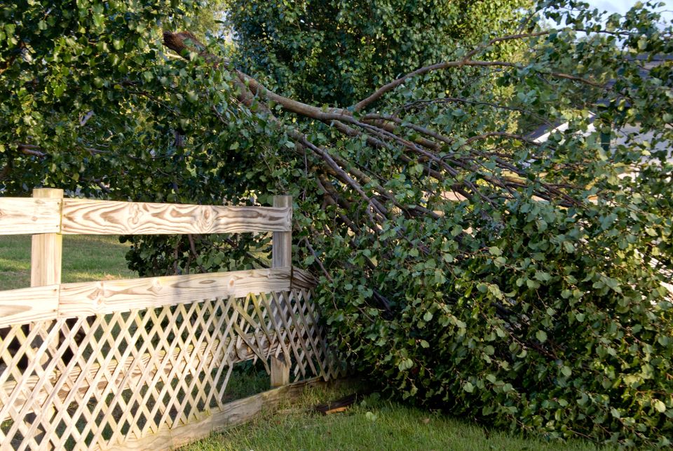 Fence Post & Gate Sag Repair in Twin Falls, ID