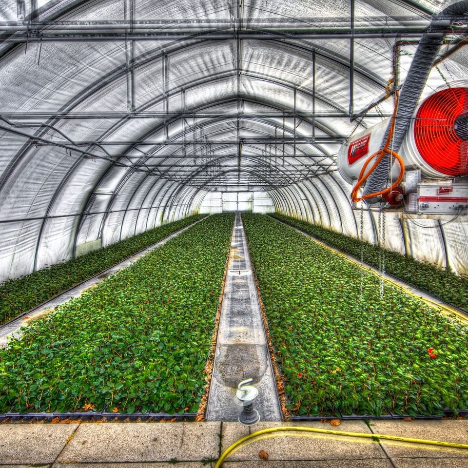 Greenhouse 54e5d1454c 1920