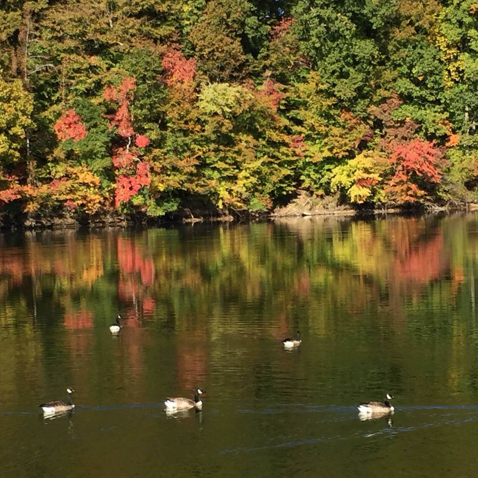 Tims ford lake  (2)
