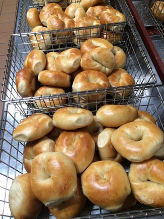 Mo bagels