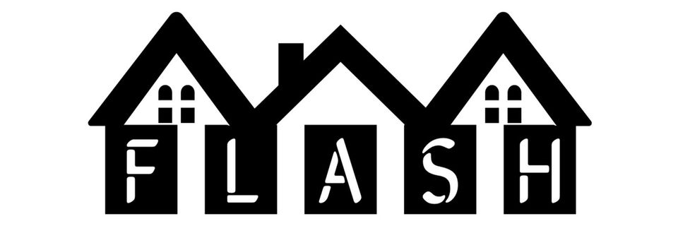 Flash logo 1 blank