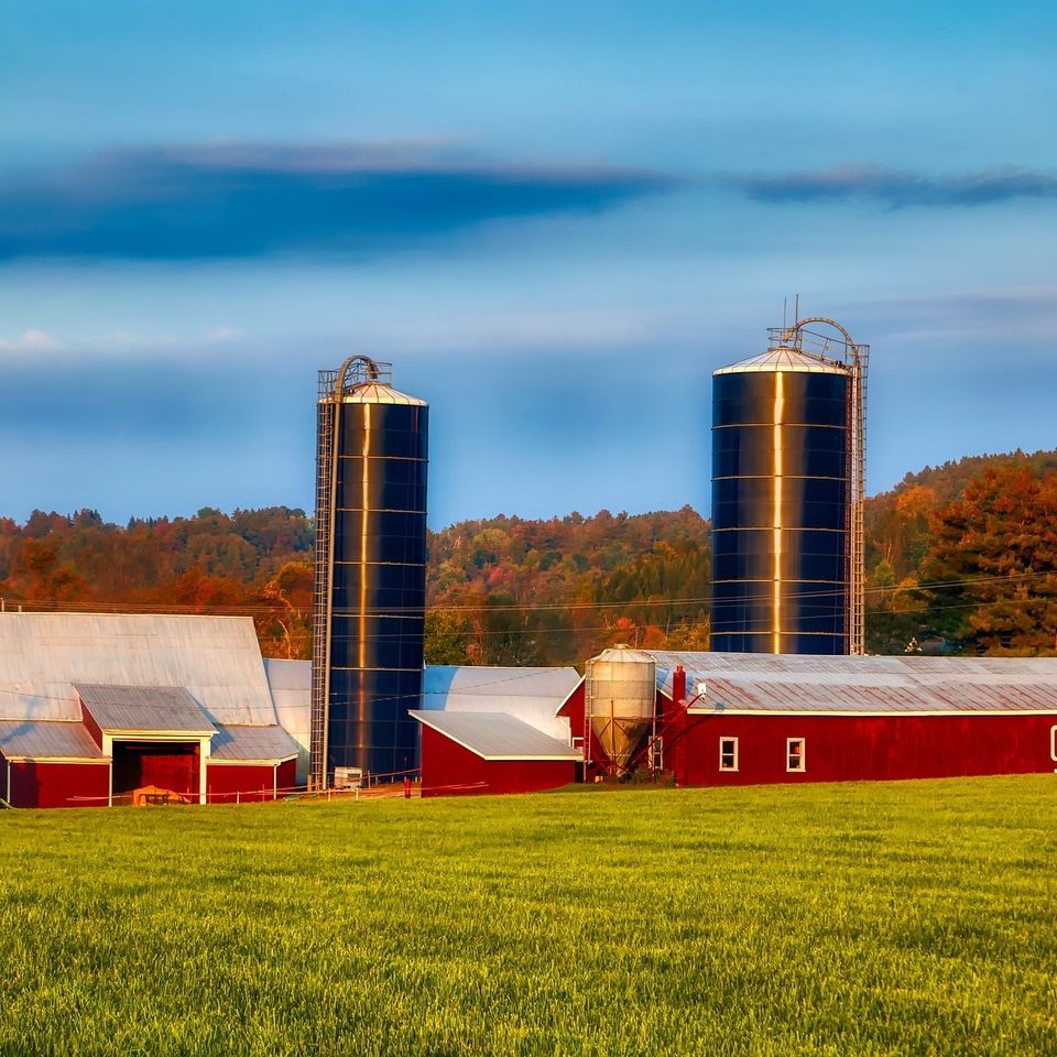 Dairy farm g1c8f7526a 1920