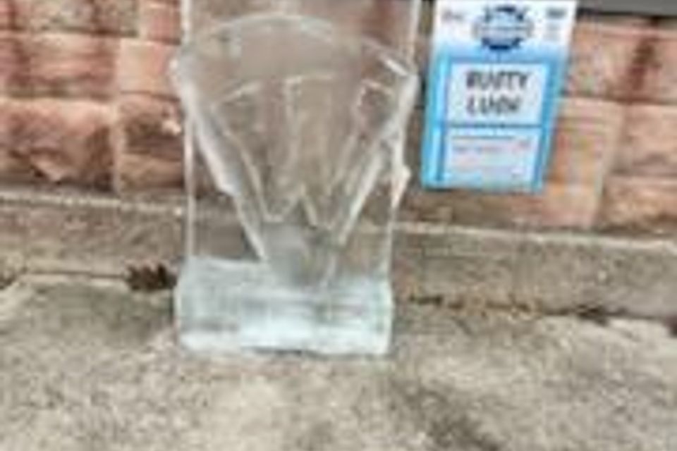 Ice carving 2025 39