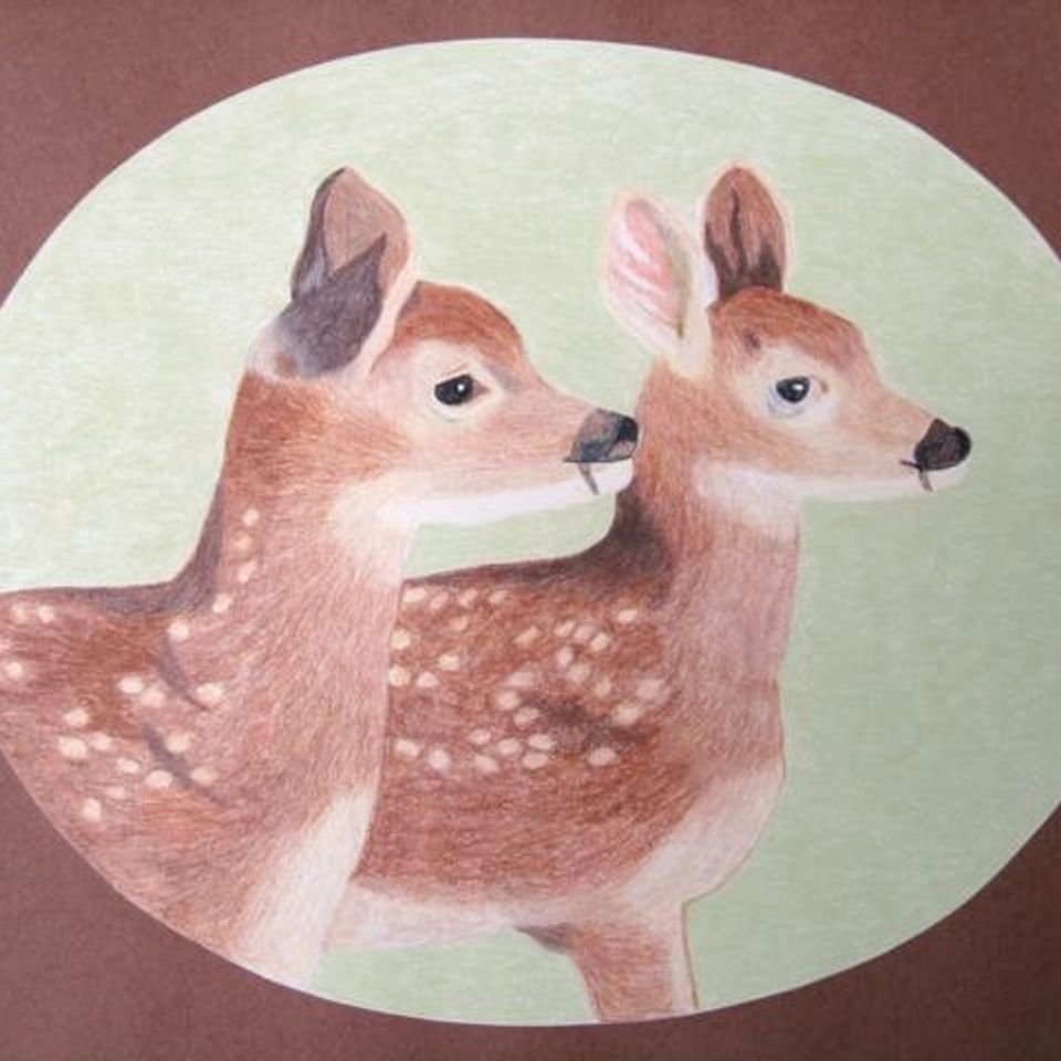 5. chandra s deer two fawns