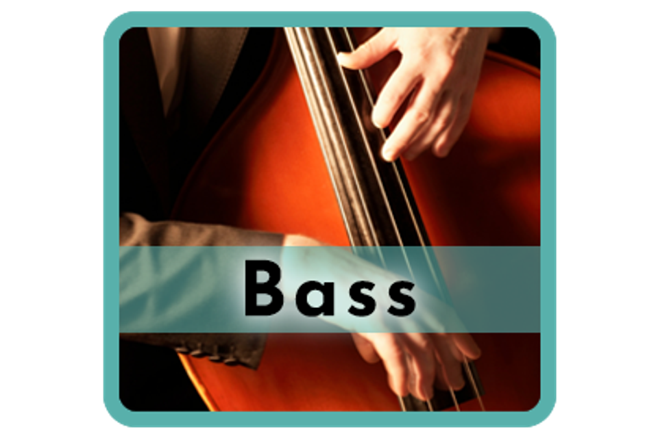 Bassteal