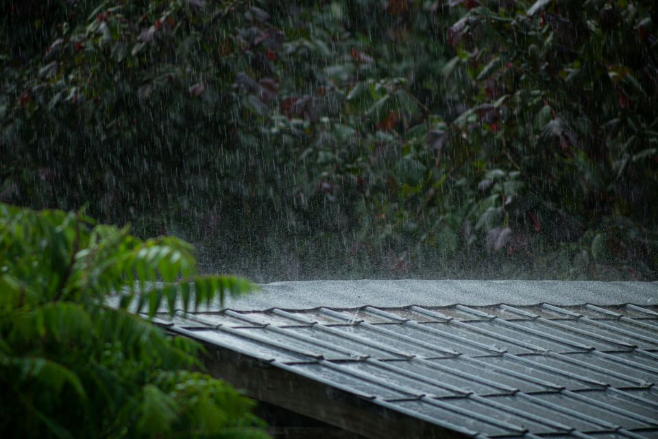 rain on rooftop