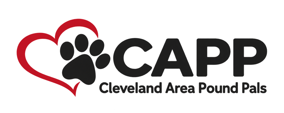 Capp logo transparent