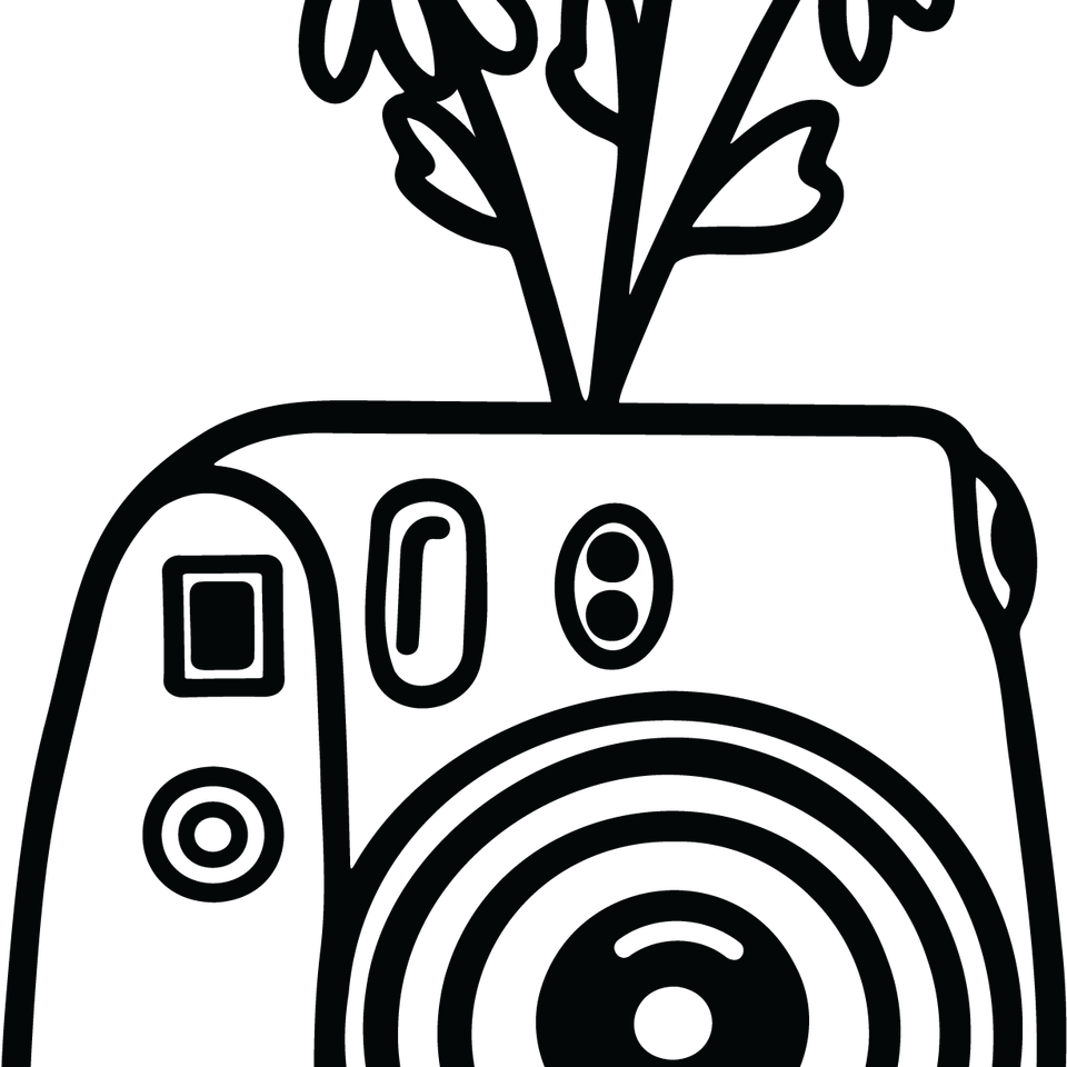 Profession   photographer camera 15